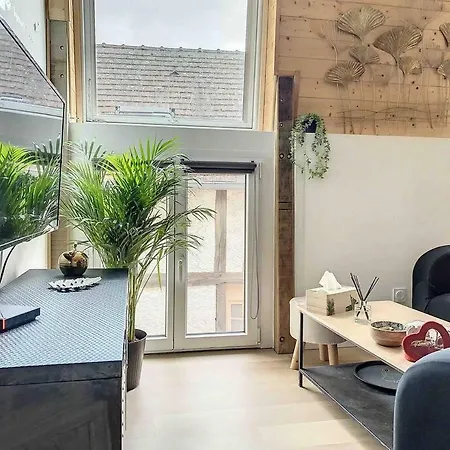 Le Wilson Cosy Apartment